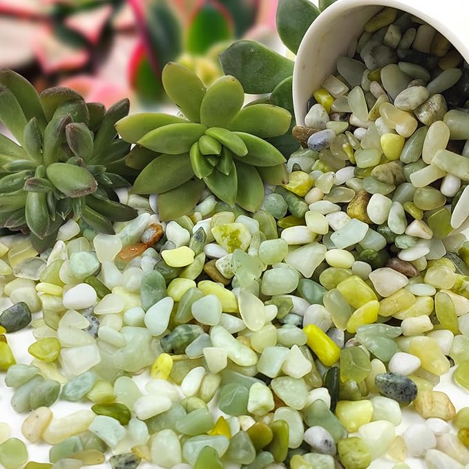 5 lbs Jade Pebbles for Indoor Plants,1/4 inch Polished Gravel Rocks for Plants, Succulents, Cactus, Vases, Terrarium, Fish Tank and Outdoor Gardening