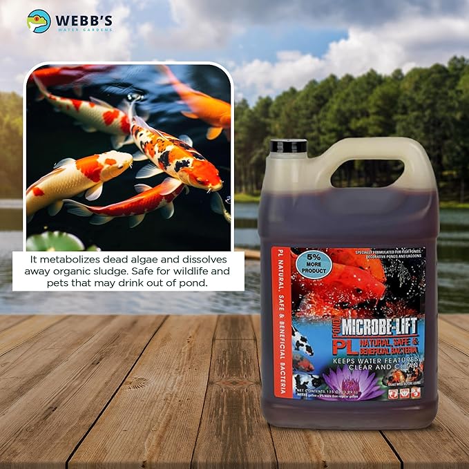 Webb's Water Gardens Microbe-Lift PL Beneficial Bacteria for Ponds and Water Features - Ideal for Wildlife and Aquatic Pets, 1.05 gallons