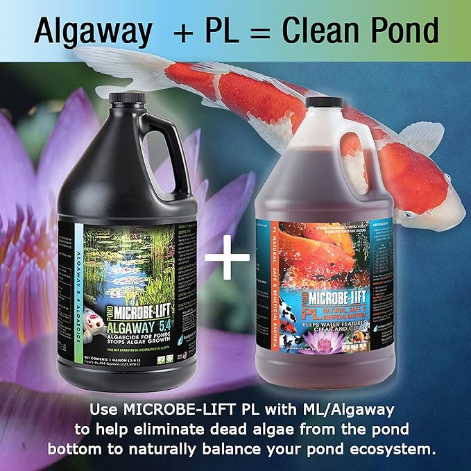 MICROBE-LIFT ALGA16 Algaway 5.4 Algae Control Treatment for Ponds and Water Gardens, Safe for Koi Fish, Goldfish, Plants, and Decorations, 16 Ounces