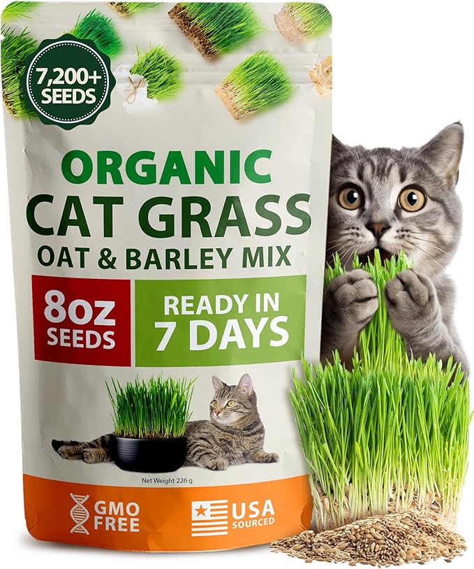 HOME GROWN Organic Cat Grass Seeds Pack 8oz β 7200 π‘π’π‘-ππ π’ π¨π¦π-π¦π’π¨π₯πππ Heirloom Oat & Barley Grass Seeds for Indoor Cats β High Germination Hairball Relief, Pet Grass Ready in 7Days