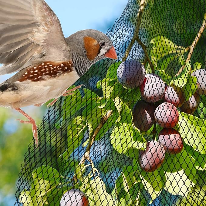 PACETAP Pond Netting Kit 7 x 10 Ft for Leaves, Heavy Duty Koi Pond Cover, Pool Protective Cover Netting with Stakes Protecting Koi Fish from Birds, Cats, Predators