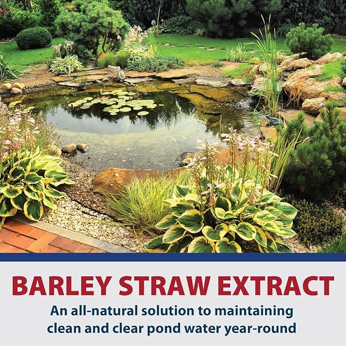 The Pond Guy Barley Extract Natural Liquid Treatment for Ponds and Water Gardens, Safe for Koi Fish and Plants, Natural Solutions for Clear Pond Water - 16 Ounces