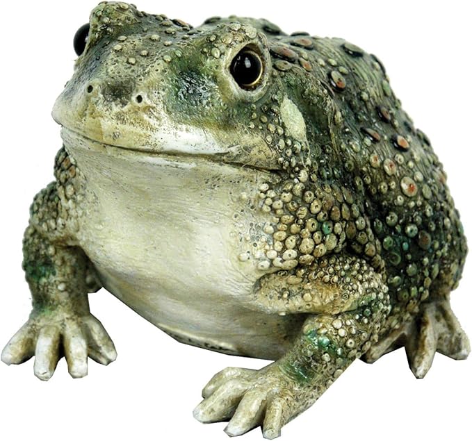 Michael Carr Designs 80072 0 1, Green