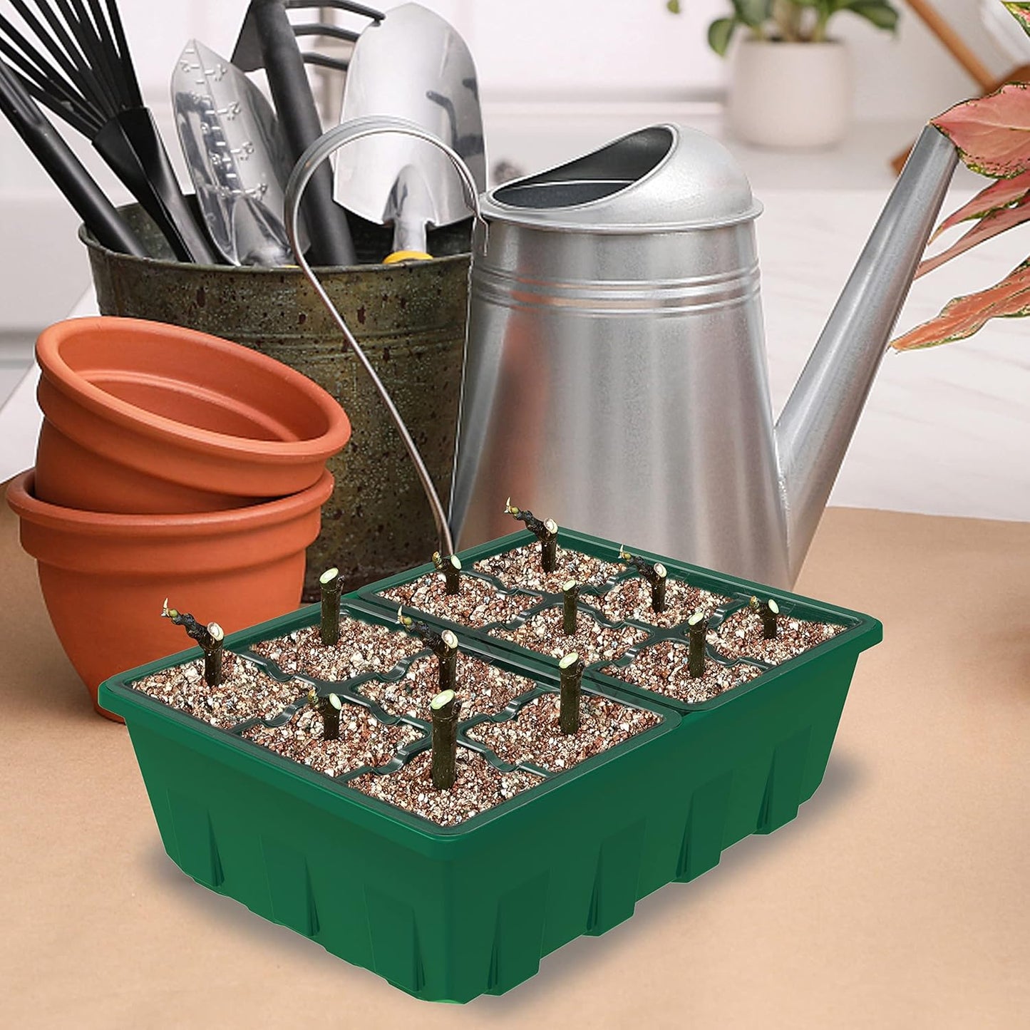 Gardzen 10-Set Garden Propagator Set, Clear Seed Tray Kits with 120-Cell, Seed Starter Trays with Dome and Green Base 6.6" x 4.5" (12-Cell Per Tray)