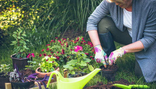 The Power of Plants: 5 Health Benefits of Gardening You Didn't Know