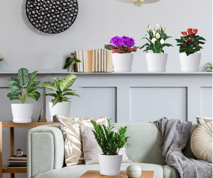 Grow Beautifully: Why Gardeners Love These 7 Inch Plastic Planters with Drainage and Saucers