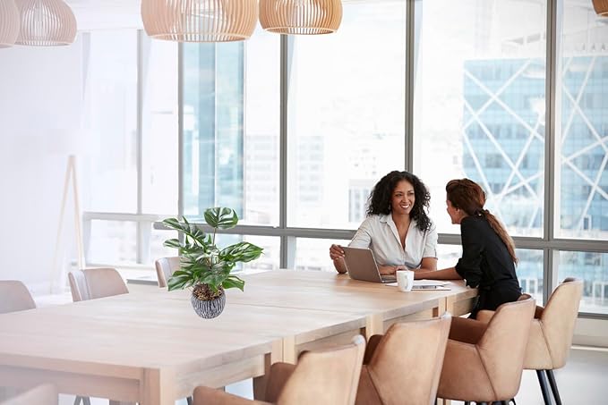 AlphaAcc 12" Faux Monstera Plant Tropical Greenery Small Fake Deliciosa Plants in Black Rustic Pot for Bathroom Kitchen Livingroom Nightstand Office Artificial Plants Decor