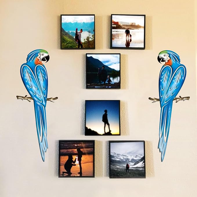 EiGreen Metal Bird Wall Art Decor 3D Outdoor parrot Sculpture, Hanging Decor Metal Wall Decor Suitable for Gardens Fence Patio Living Room Bedroom Yard Decor
