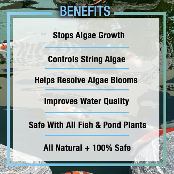 MICROBE-LIFT ALGA16 Algaway 5.4 Algae Control Treatment for Ponds and Water Gardens, Safe for Koi Fish, Goldfish, Plants, and Decorations, 16 Ounces