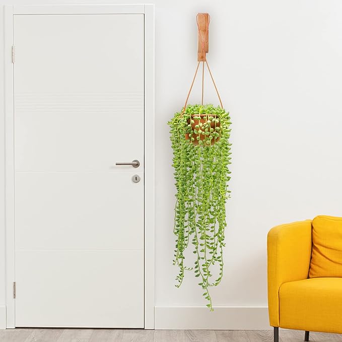 FGSAEOR Arc-Shaped Wooden Plant Hanger Indoor, 7-Inch Hanging Plant Brackets, Wall Mount Hooks for Outdoor Hanging Bird Feeders, Flower Baskets Pots, Wind Chimes, Lanterns