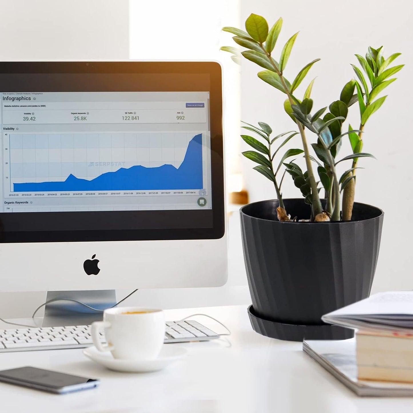 7 Inch Plant Pots Bulk, 6 Pack Plastic Planters with Drainage Holes and Saucers for Indoor Outdoor House Plants and Flowers, Black