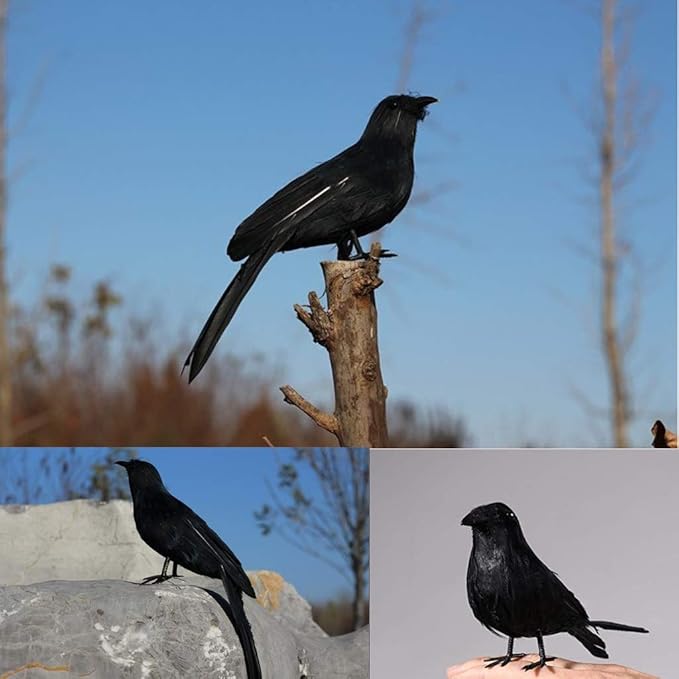 ZODIFEVI 6 Pack Realistic Crows, Real Touch Black Feathered Crows, Halloween Decorations,Artificial Handmade Feathered Raven, Halloween Party Decor Prop Outdoors and Indoors Decoration