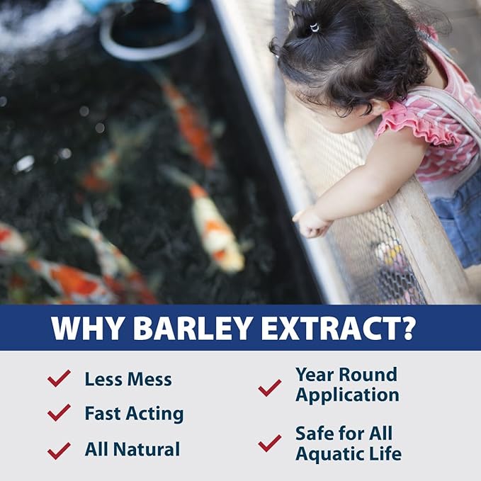 The Pond Guy Barley Extract Natural Liquid Treatment for Ponds and Water Gardens, Safe for Koi Fish and Plants, Natural Solutions for Clear Pond Water - 1 Gallon