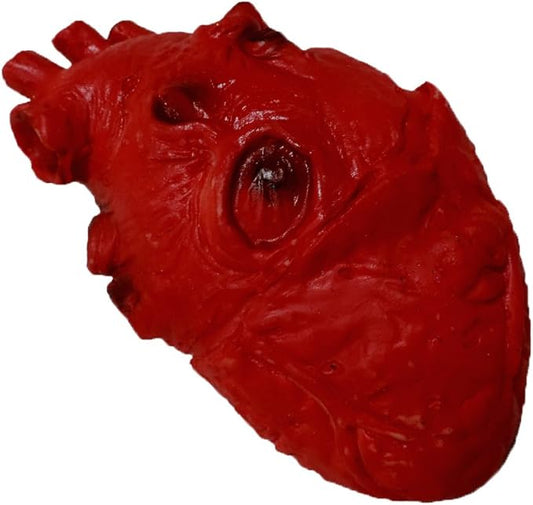Life Size Foam Heart Gory Halloween Prop