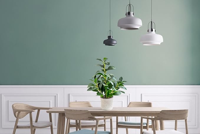 AlphaAcc 16 inch Artificial Indoor Plants Office Desk Faux Plant Peperomia Leaf Ficus Plant Realistic Small Fake Farmhouse Plants for Home Kitchen Bathroom Bedroom Evergreen Decor