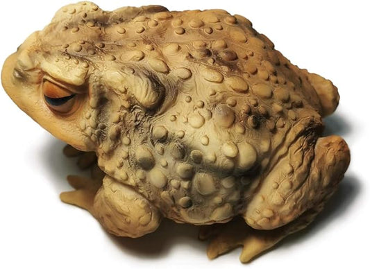 Sunthus Frog Toad Sculptures Garden Statues Yard Art Resin Decorations Outdoor Garden Decor