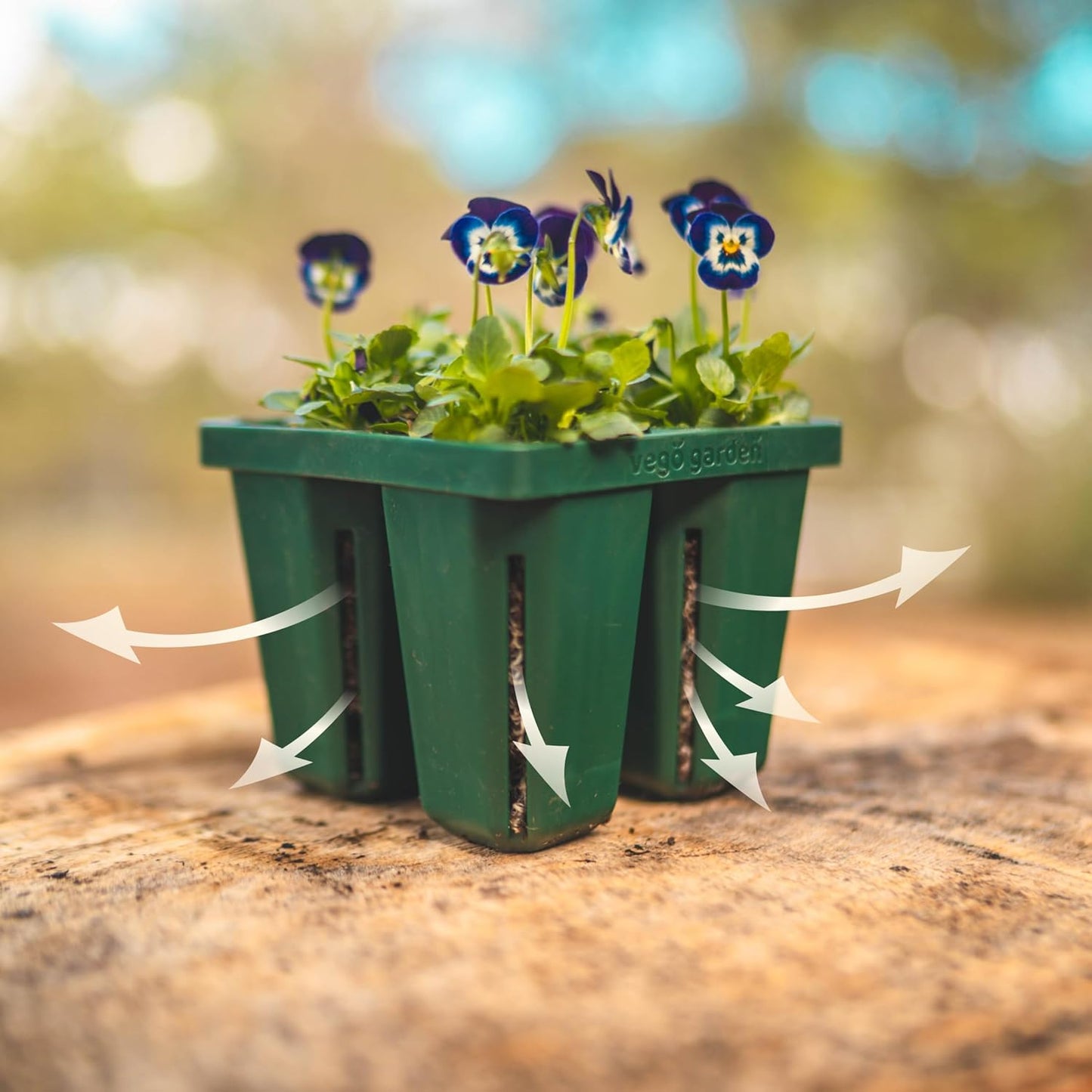 Vego garden Seedling Suite Products, 8 Pack Jumbo Seedling Trays with Seedling Tray Lids and 10" x 20" Bottom Watering Trays