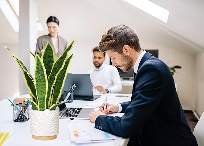 Artificial Snake Plant 16" with White Ceramic Pot Sansevieria Plant Fake Snake Plant Greenery Faux Plant in Pot for Home Office Living Room Housewarming Gifts Indoor Outdoor Decor-Yellow