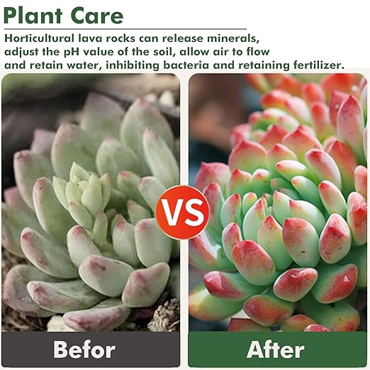 6.6 Pounds Mix Horticultural Lava Rocks, 5-8 mm Lava Rocks for Plants, Bonsai Rocks Horticultural Grit Soil Cover Gravel for Succulents and Hydroponics, Fairy Gardening, Top Dressing, Plant Drainage