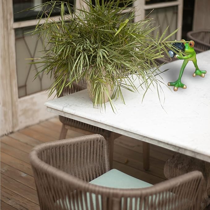 Outdoor Decor Garden Frogs Outdoor Decor Frog Gifts,Paparazzi Camera Decor,Frog Statues for Garden Frog Resin Crafts for Shelves Table Desk Decor