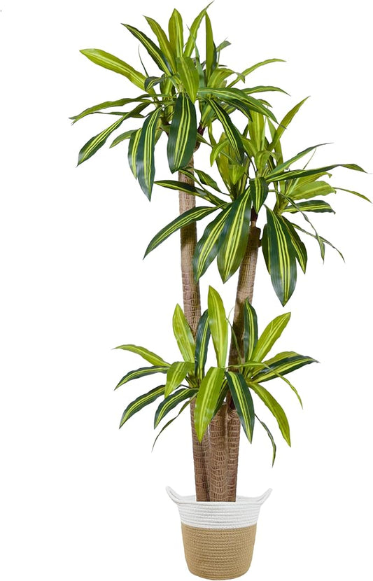 Artificial Dracaena Tree, 6ft Tall Fake Dracaena Plant with Basket, Indoor Outdoor Faux Topiary Yucca Trees for Office Home Living Room Porch Patio Décor