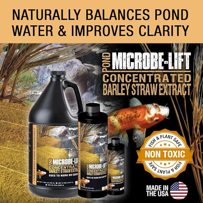 MICROBE-LIFT MLCBSE2L Concentrated Barley Straw Extract Conditioner for Ponds and Outdoor Water Garden, Safe for Live Koi Fish, Plants, and Decorations, 64 Ounces