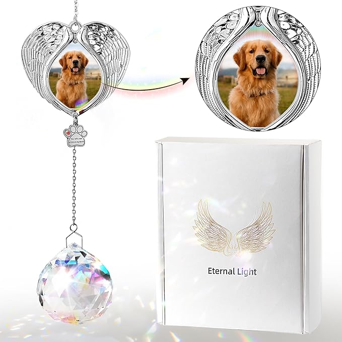 Pet Memorial Suncatcher - Dog Memorial Gifts for Loss of Dog, Christmas Pet Paw Print Photo Ornament, Pet Sympathy Gift, Bereavement Gift Ideas for Dog or Cat Passing Away, Remembrance, Silver Metal