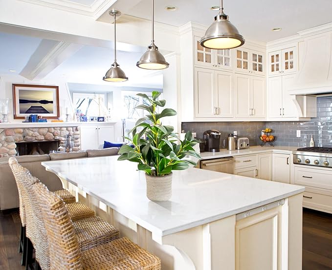 AlphaAcc 16 inch Artificial Indoor Plants Office Desk Faux Plant Peperomia Leaf Ficus Plant Realistic Small Fake Farmhouse Plants for Home Kitchen Bathroom Bedroom Evergreen Decor