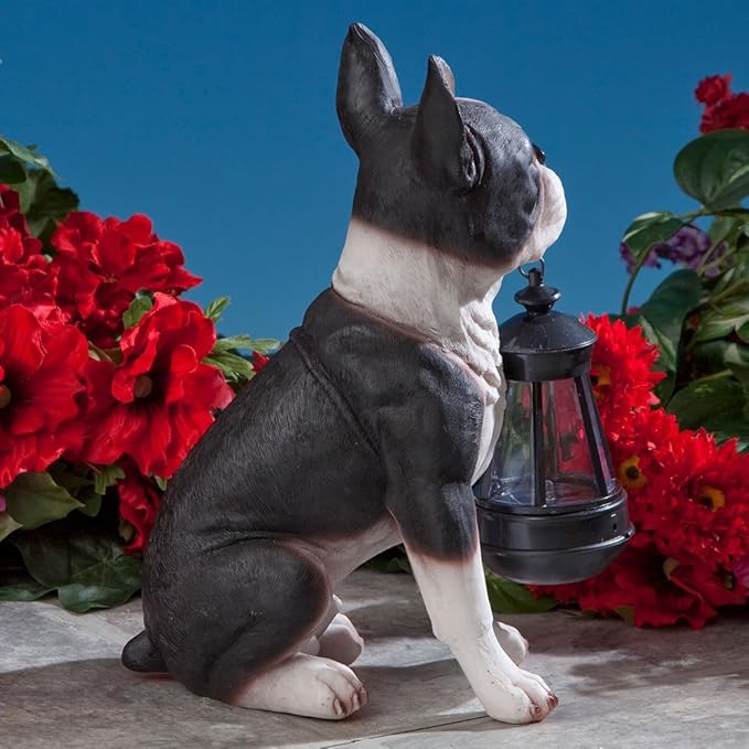 Bits and Pieces - Boston Terrier Solar Lantern Statue - Yard Decorations - Solar Powered Garden Lantern - Resin Dog Sculpture - Outdoor LED Lighting
