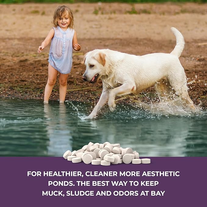 Nature's Core Muck Removal Tablets Natural Pond Sludge Remover, Cleans & Clears Away Muck & Sludge, Safe for The Environment, Treats 1,500 Sq Ft, 3 Month Supply, 16 Scoops, 8 lb