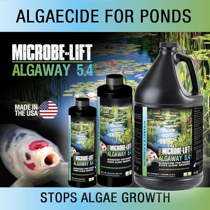 MICROBE-LIFT ALGA16 Algaway 5.4 Algae Control Treatment for Ponds and Water Gardens, Safe for Koi Fish, Goldfish, Plants, and Decorations, 16 Ounces