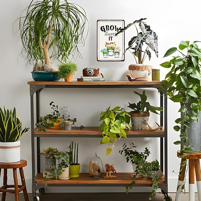 Artlunar Funny Garden Plant Flower Sign Outside Yard Art Decor - Grow Damn It, 12" x 8" (993)