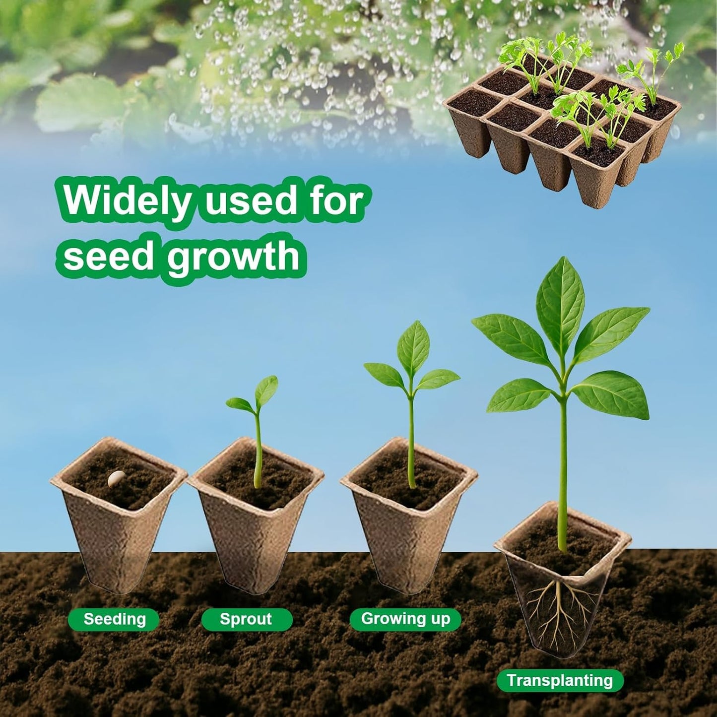 10 Pack Seedling Starter Trays - 120 Cells,Biodegradable Seed Starter Trays for Seedlings,Eco-Friendly Peat Pots