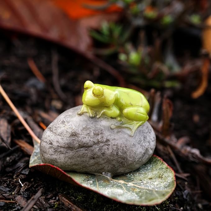 Top Collection Miniature Fairy Garden and Terrarium Statue, Sleeping Cute Frog on Stone