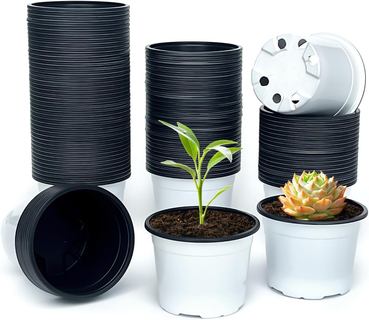Nursery Pots, 100 Pack 2.8 inch Plastic Plant Pots, Small Flower Pots for Succulents, Seedlings, Flowers, Transplanting（White）