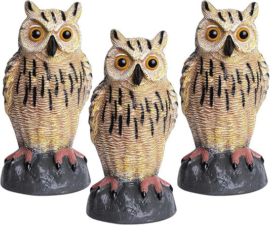 Galashield Owl Decoy | Plastic Owls to Scare Birds Away | Owl Statue for Garden & Outdoors - Pack of 3