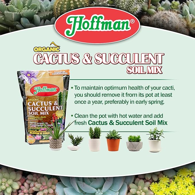 Hoffman 10410 Organic Cactus and Succulent Soil Mix, 10 Quarts, 2 Pack