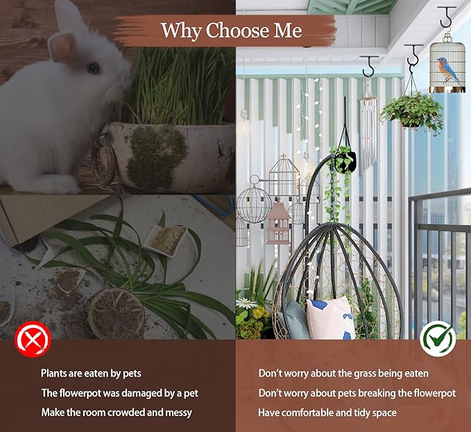 Ceiling Hooks for Hanging Plants 2Pack 2.5in,Wall Mount Hangers Plant Hooks,Wall Hooks for Plants,Lights,Planters,Lanterns,Hanging Bird Feeders,Wind Chimes,indoor&Outdoor Decoration Hooks Black