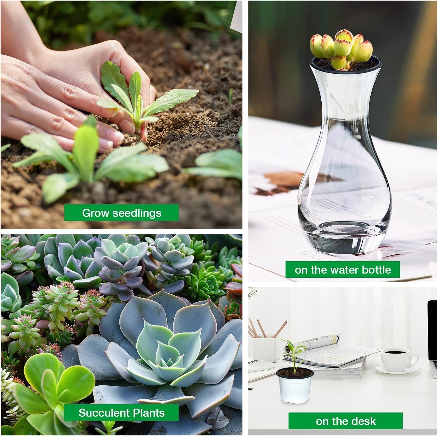 Nursery Pots, 100 Pack 2.8 inch Plastic Plant Pots, Small Flower Pots for Succulents, Seedlings, Flowers, Transplanting（White）