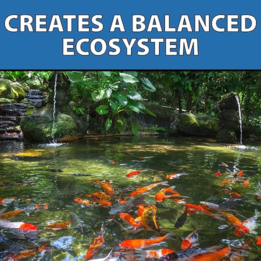 CrystalClear Barley Extract Water Garden & Fountain Clarifier, Natural Liquid Concentrate to Treat Cloudy Ponds, Koi Fish, Plant & Pet Safe, 1 Gallon