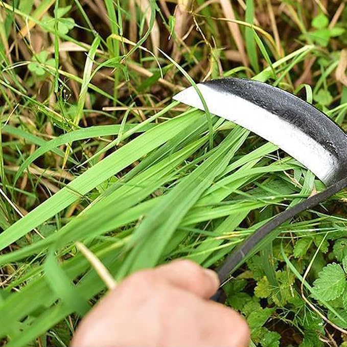 Kana Hoe 217 Japanese Garden Tool - Hand Hoe/Sickle is Perfect for Weeding and Cultivating,Solid Wood Handle for Gardening Tools