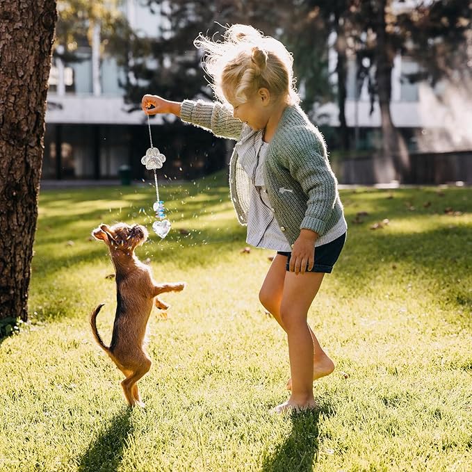 Pet Memorial Sun Catcher,Dog Passing Away Gifts,Pet Loss Sympathy Gift,Rainbow Bridge Paw Crystal Suncatcher,Thoughtful Cats and Dogs Remembrance,Bereavement Gifts