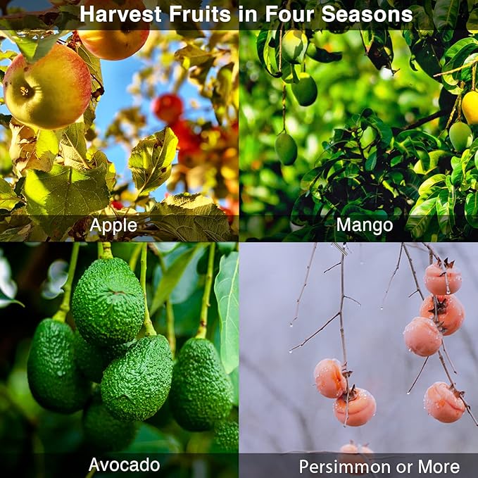 DnSail Fruit Picker Pole Tool with Basket Telescoping - Adjustable Mango Picker 35-68 inch Long Handle - Apple Orange Avocado Acorn Lemon Pear Pomelo Chery Picker for Tree