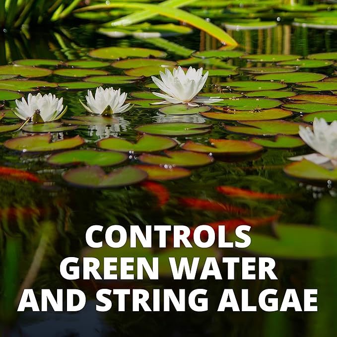 Tetra 77188 Algae Control Treats 36000 gallons, 101.4-Ounce