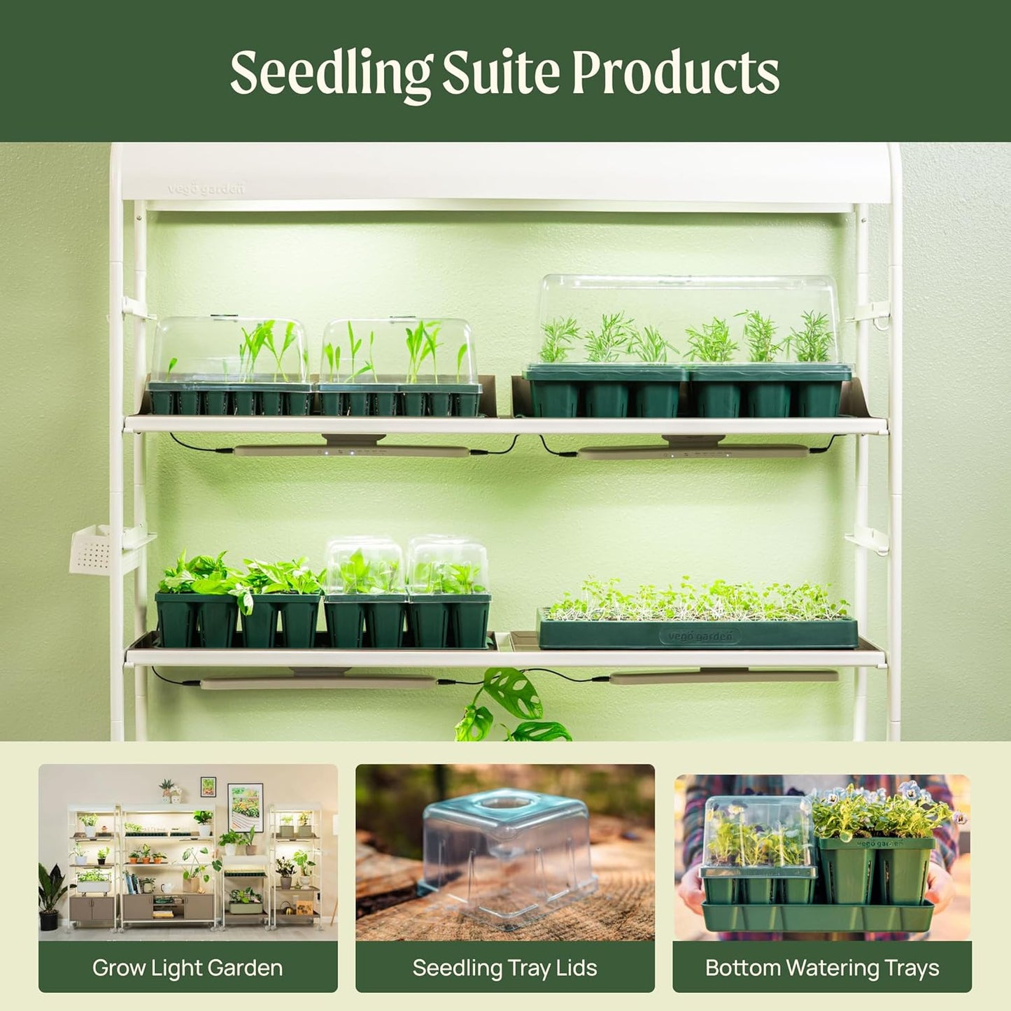 Vego garden 10" x 20" 76 Cells Seed Starter Tray Stackable Seedling Starting Germination Trays for Plants Planting Vegetables Herbs Flowers