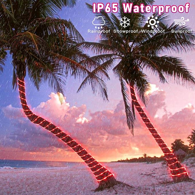 Rope Lights for Outside, 100FT 300 LED Plug in Christmas Lights Outdoor with Waterproof 8 Modes, Connectable String Twinkle Light for Indoor House Patio Garden Pool Wedding Decorations, Red