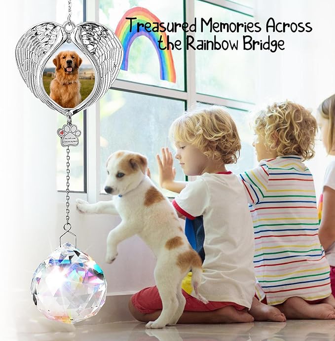 Pet Memorial Suncatcher - Dog Memorial Gifts for Loss of Dog, Christmas Pet Paw Print Photo Ornament, Pet Sympathy Gift, Bereavement Gift Ideas for Dog or Cat Passing Away, Remembrance, Silver Metal