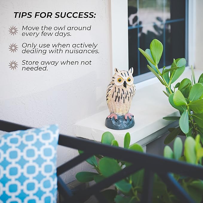 Galashield Plastic Owl Decoys [Set of 3] - Multicolor Owl Statues for Garden & Outdoors, Scare Birds Away, Realistic Design with Reflective Eyes, Weather Resistant