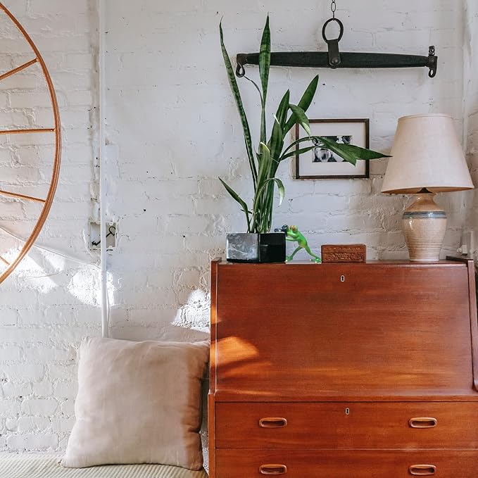 Outdoor Decor Garden Frogs Outdoor Decor Frog Gifts,Paparazzi Camera Decor,Frog Statues for Garden Frog Resin Crafts for Shelves Table Desk Decor