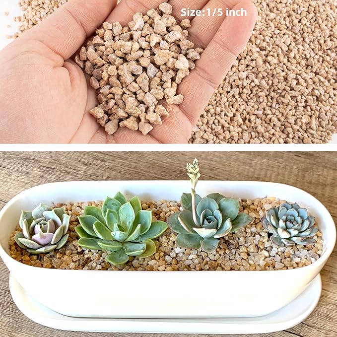 3lb Maifanitum Stones for Succulent Cactus Bonsai Decorative Rocks-Indoor Plants Soil Covers,Horticultural Gravel, Potting Pebbles for Terrarium, Fairy Gardening, Top Dressing